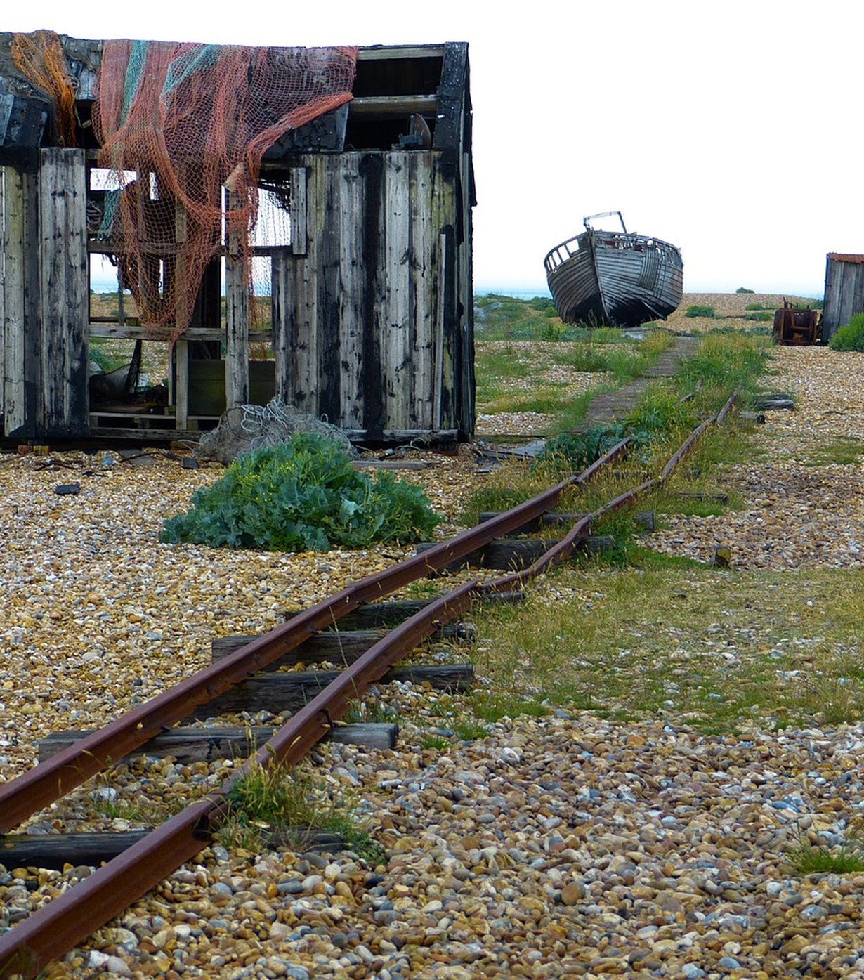Seamore Coastal